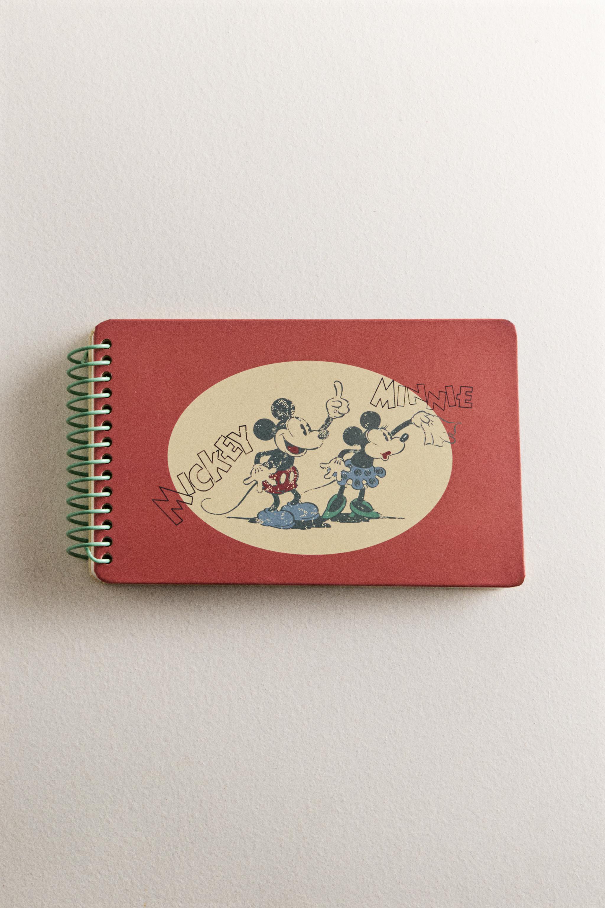 CARNET ENFANT À ANNEAUX MICKEY & MINNIE ©DISNEY